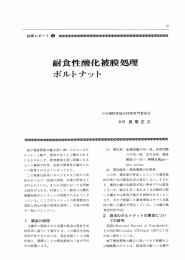 耐食性酸化被膜処理ボルトナット