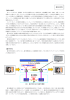 補足資料 - NEC