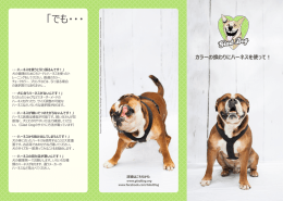 でも - Glad Dog