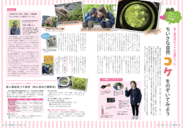 ちいさな自然コケをのぞいてみよう p02-03(682KBytes)