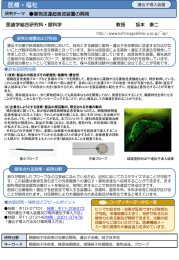 薬物送達超音波装置の開発