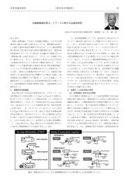 大腸菌環境ネットワークに関する包括的研究（PDF）