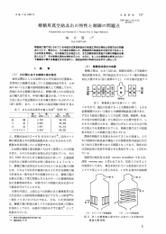 精糖用真空結晶缶の特性と制御の問題点