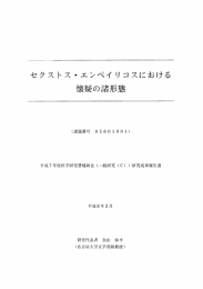 懐疑の諸形態 - 名古屋大学