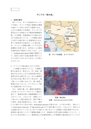 ギニアの「森の島」 Kissidougou