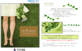 kiraku利用案内パンフレット（PDF）