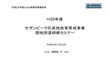 H25年度 モザンビーク石炭技術者育成事業 現地派遣研修セミナー