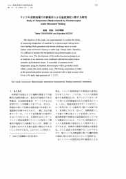 マイクロ波照射場での熱電対による温度測定に関する研究