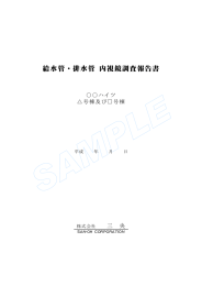 給水管・排水管 内視鏡調査報告書
