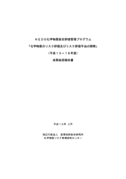 成果総括報告書