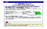 革新材料プロジェクト