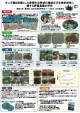 サンゴ類を指標とした愛南町沿岸域の環境及び生物多様性に 関する評価