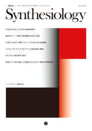 Vol.1 No.3 2008 全ページ一括ファイル [ PDF：12.3MB ]