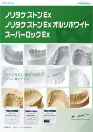 ノリタケ ストンEx ノリタケ ストンExオルソホワイト スーパーロックEx