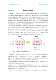 施設栽培と塩類集積 - BSI生物科学研究所