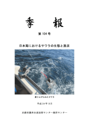 No.104 日本海におけるサワラの生態と漁況