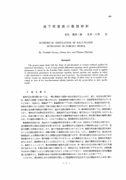 地下密度流の数値解析 - 京都大学防災研究所