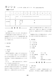 早堀マルチ