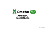 Ameba ブランドウォール（動画訴求フレーム）