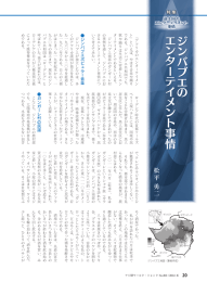 ジンバブエのエンターテイメント事情