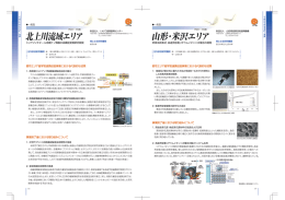 トリアジンチオ一丿し有機ナノ薄膜の高機能発現研究開発 岩手大学