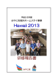 Hawaii 2013 研修報告書