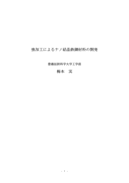 強加工によるナノ結晶鉄鋼材料の開発 梅本 実