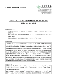 ノンコーディングRNAが核内構造体を組み立てるための