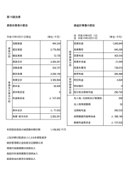 決算書 簡易様式 要旨