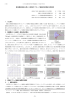 実地震記録波を用いた実物大ブロック擁壁の耐震