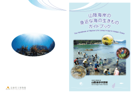 山陰海岸の身近な海の生きものガイドブック（PDF 6.3M）