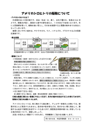 アメリカシロヒトリの駆除について(PDF 233KB)