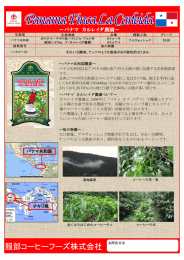 パナマ共和国 チキリ県