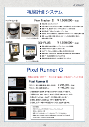 Pixel Runner G