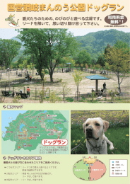 ドッグラン - 国営讃岐まんのう公園