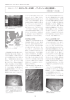 化石コレクターな地層 －ブンデンバッハ産化石動物群－