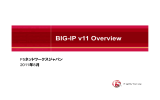 BIG-IP v11 Overview