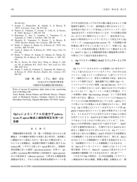 Slp2-aによるシグナル伝達分子podocalyxinのapical輸送と細胞間相互