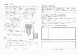 動物には、 外部や内部環境の変化を刺激と して受容するために