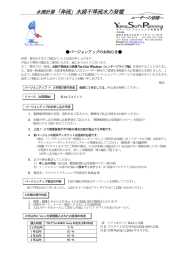 水路不等流水力発電 - ヤマソフトプランニング