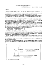 ねぎに含まれる新規抗酸化物質につし`て