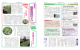 農業委員会だより - 竜王町ホームページ