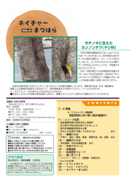 ネイチャーまつばら [1779KB pdfファイル]