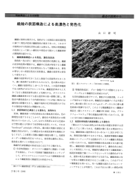 繊維の表面構造による高濃色と発色化