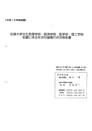 平成18年度年次計画履行状況報告書