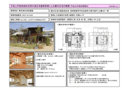 平成22年度成果報告