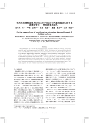 有用海産微細藻類Nannochloropsis の大量培養法に関する