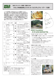 ネセック財団訪問とスリランカ・スピリチュアル・ツアー 7日間