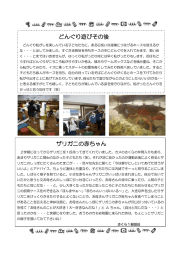どんぐり遊びその後 ザリガニの赤ちゃん