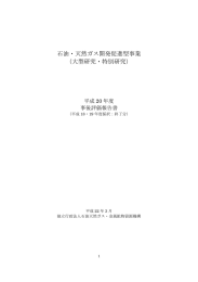 石油・天然ガス開発促進型事業 （大型研究・特別研究）